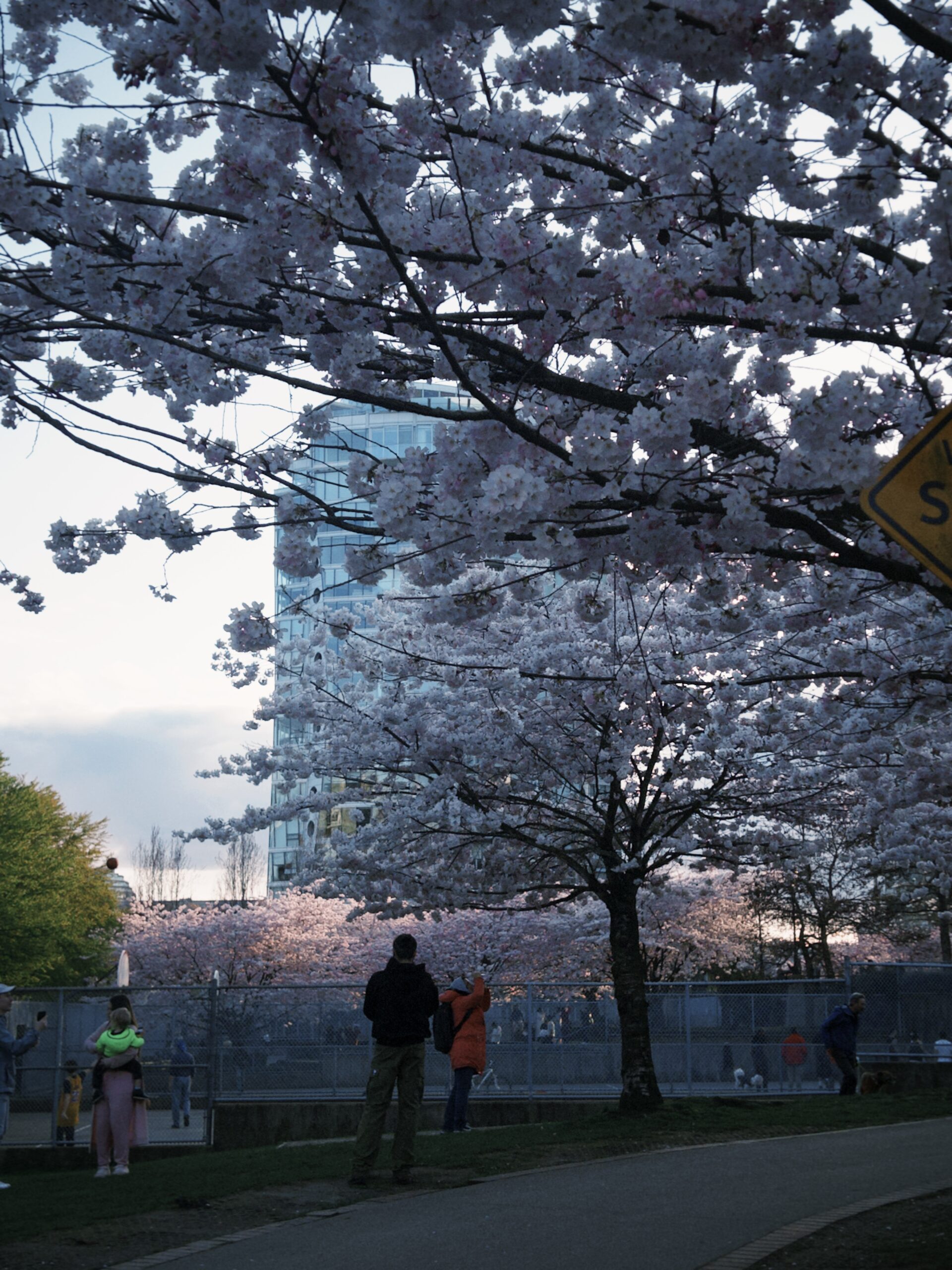 fxn 2025-04-01 63655.165 PM